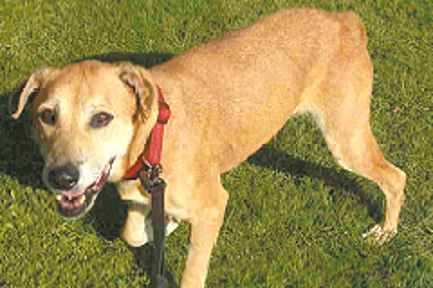 Karina/ Omi Karina/ Omi