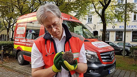 Versorgung von Wildtieren