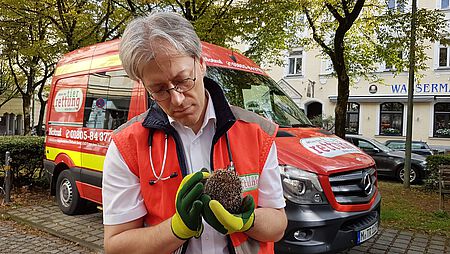 Versorgung von Wildtieren