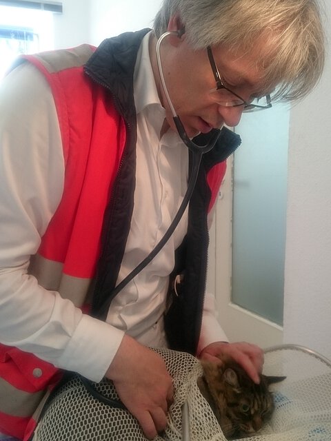 Der Chip wird mit Lesegerät gesucht. Der Chip wird mit Lesegerät gesucht.