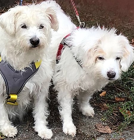 Flocke und Ronja Flocke und Ronja