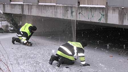 Rettungsaktion für Schwan legt S-Bahn Verkehr lahm Rettungsaktion für Schwan legt S-Bahn Verkehr lahm