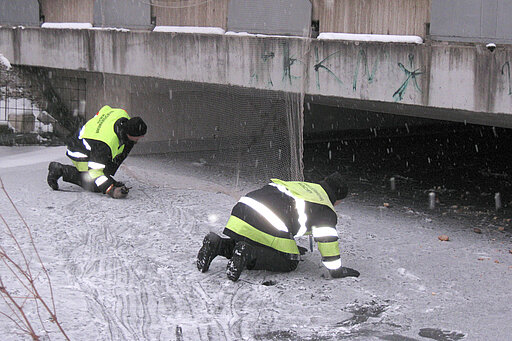 Rettungsaktion für Schwan legt S-Bahn Verkehr lahm