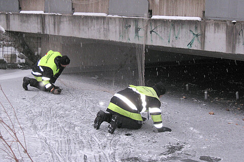 Rettungsaktion für Schwan legt S-Bahn Verkehr lahm Rettungsaktion für Schwan legt S-Bahn Verkehr lahm