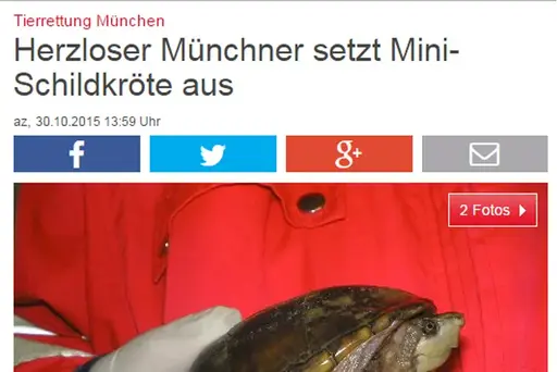 Abendzeitung München, 30.10.2015