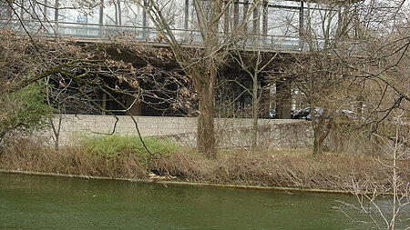 Die Versorgung des Bibers Die Versorgung des Bibers