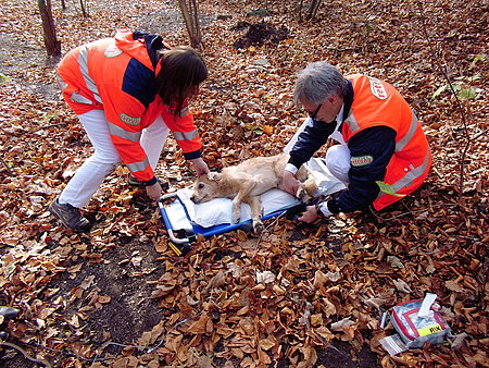Gabor Horvath leistet auf der Trage Erste Hilfe.