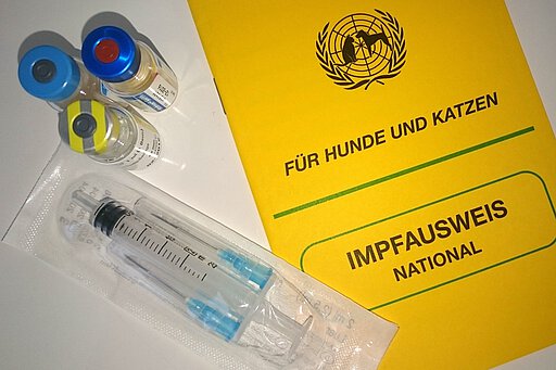 Hunde, die nur in Deutschland sind, müssen nicht mehr gegen Tollwut geimpft werden. Hunde, die nur in Deutschland sind, müssen nicht mehr gegen Tollwut geimpft werden.