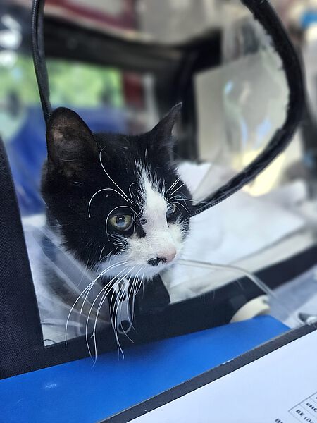 Suzie war unter anderem stark dehydriert.