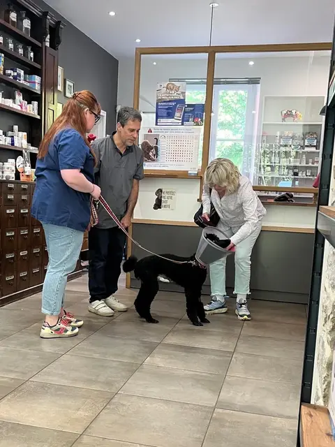 Bei Dr. Patrice Nazac, dem behandelnden Tierarzt.