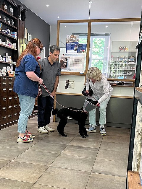 Bei Dr. Patrice Nazac, dem behandelnden Tierarzt. Bei Dr. Patrice Nazac, dem behandelnden Tierarzt.