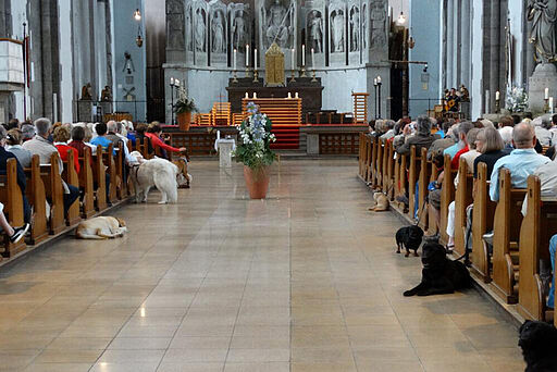 Viecherlmesse mit Tiersegnung in der St. Maximilians Kirche. Foto: © Nicole Kessler