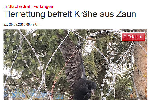 Abendzeitung München, 26.3.2016