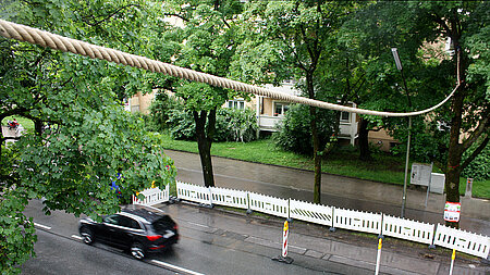 aktion tier Projekt Eichhörnchenseil