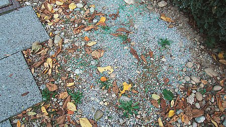 Foto: ©joujou/pixelio.de Foto: ©joujou/pixelio.de