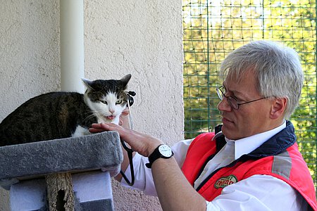 Dr.med.vet. Gabor Horvath Dr.med.vet. Gabor Horvath