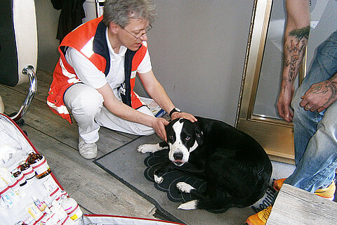 Ganja – der große Sprung ins Unbekannte