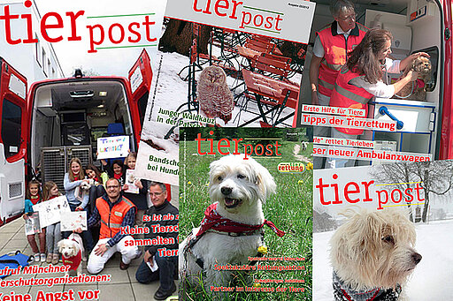 Die tierpost ist das Mitgliederjournal der aktion tier tierrettung münchen e.V. Die tierpost ist das Mitgliederjournal der aktion tier Tierrettung München e.V.