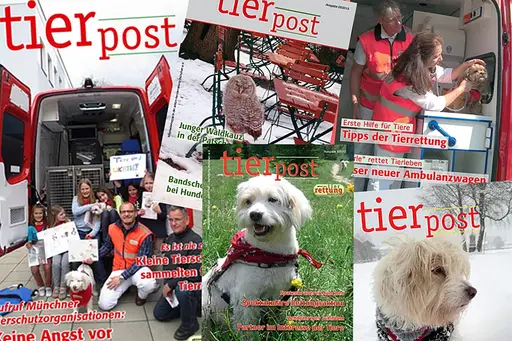 Die tierpost ist das Mitgliederjournal der aktion tier Tierrettung München e.V. 