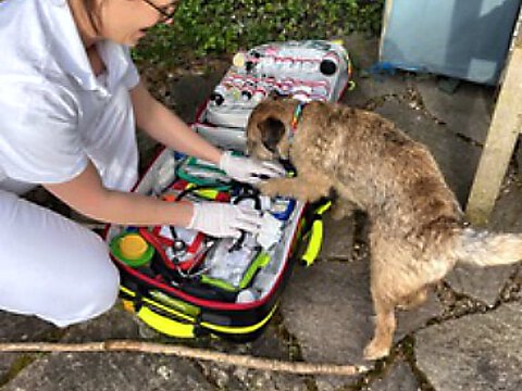 Melk bekam ein Mittel, um zu erbrechen. Melk bekam ein Mittel, um zu erbrechen.