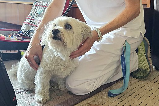 Dr. Elisabeth Wagmeister kümmerte sich um Sammy.