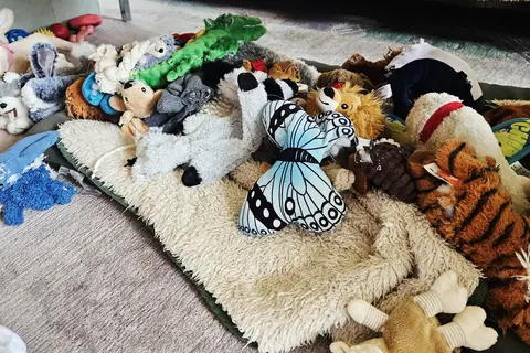 Sammys geliebte Kuscheltiere - kleine Helfer für große Geborgenheit.