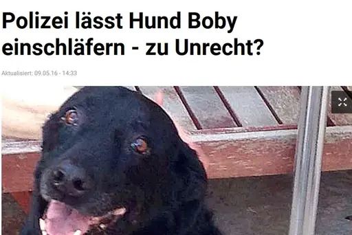 TZ: "Polizei lässt Hund Boby einschläfern - zu Unrecht?"