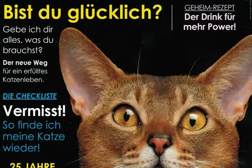 Our Cats, Ausgabe 2/2017