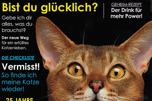 Our Cats, Ausgabe 2/2017