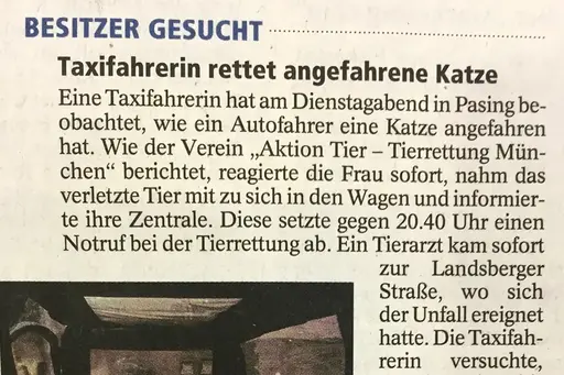 Taxifahrerin rettet angefahrene Katze