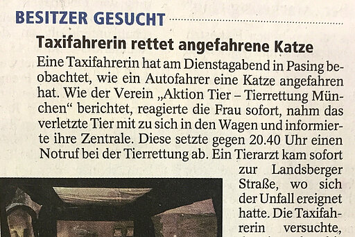 Taxifahrerin rettet angefahrene Katze
