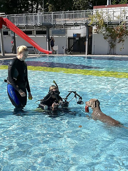 Fotograf Alexander Weinberger in Aktion.