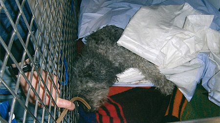 Autounfall im Aubinger Tunnel Autounfall im Aubinger Tunnel