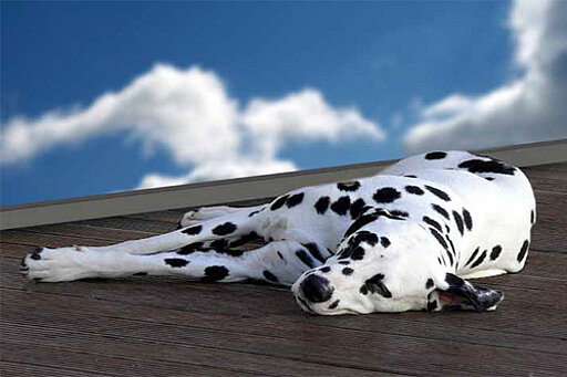 Foto: Â© bagal/pixelio.de