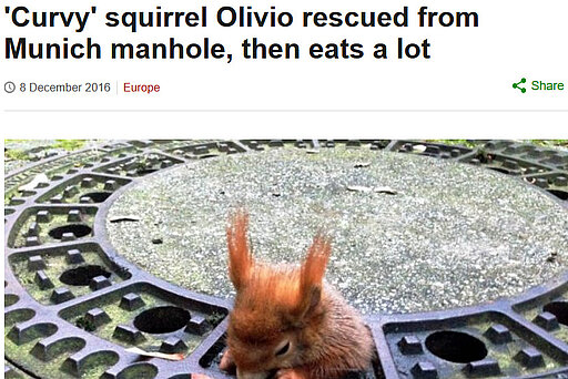 BBC, 08. Dezember 2016