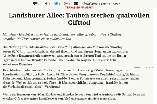 Münchner Merkur- Landshuter Allee - Tauben sterben qualvollen Gifttod