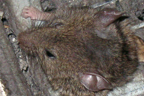 Kleines Happyend Kleines Happyend