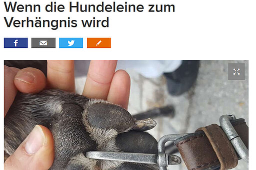 Rosenheim24.de, 27. März 2017