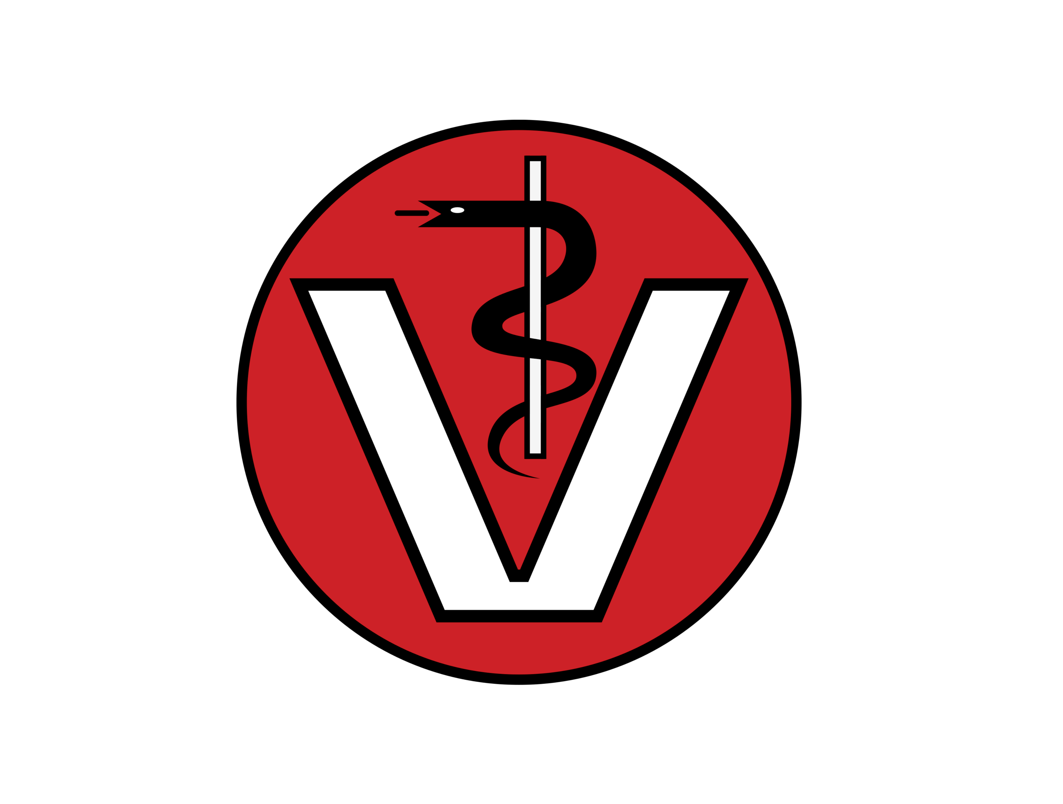 Stammzellentherapie bei Osteoarthrose aktion tier tierrettung