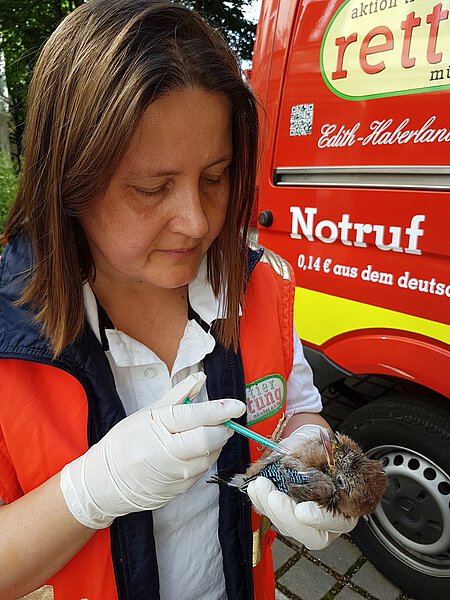 Malgorzata Horvath Malgorzata Horvath