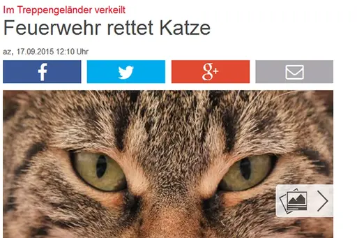 Abendzeitung: Feuerwehr rettet Katze
