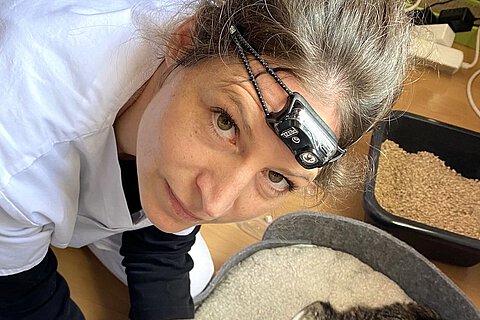 Dr. Elisabeth Wagmeister