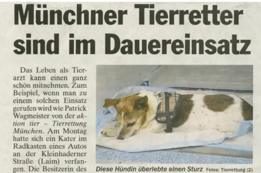 Münchner Tierretter sind im Dauereinsatz - TZ München