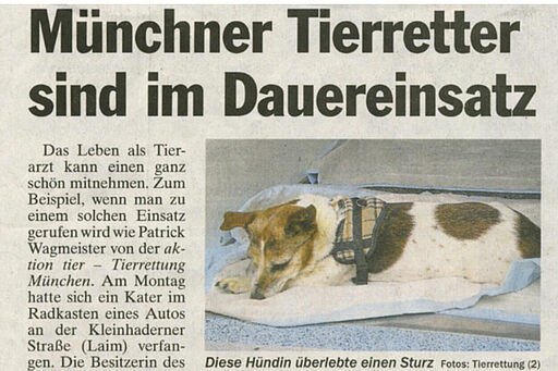 Münchner Tierretter sind im Dauereinsatz - TZ München