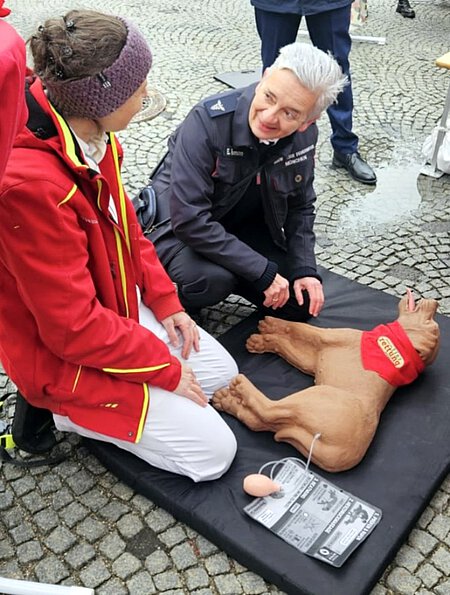Dr. Wagmeister zeigt Elena Reumann von der Freiwilligen Feuerwehr eine Herzmassage am Hunde-Dummy. Dr. Wagmeister zeigt Elena Reumann von der Freiwilligen Feuerwehr eine Herzmassage am Hunde-Dummy.