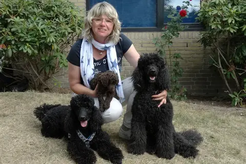 Evelyne Menges mit Hunden 
